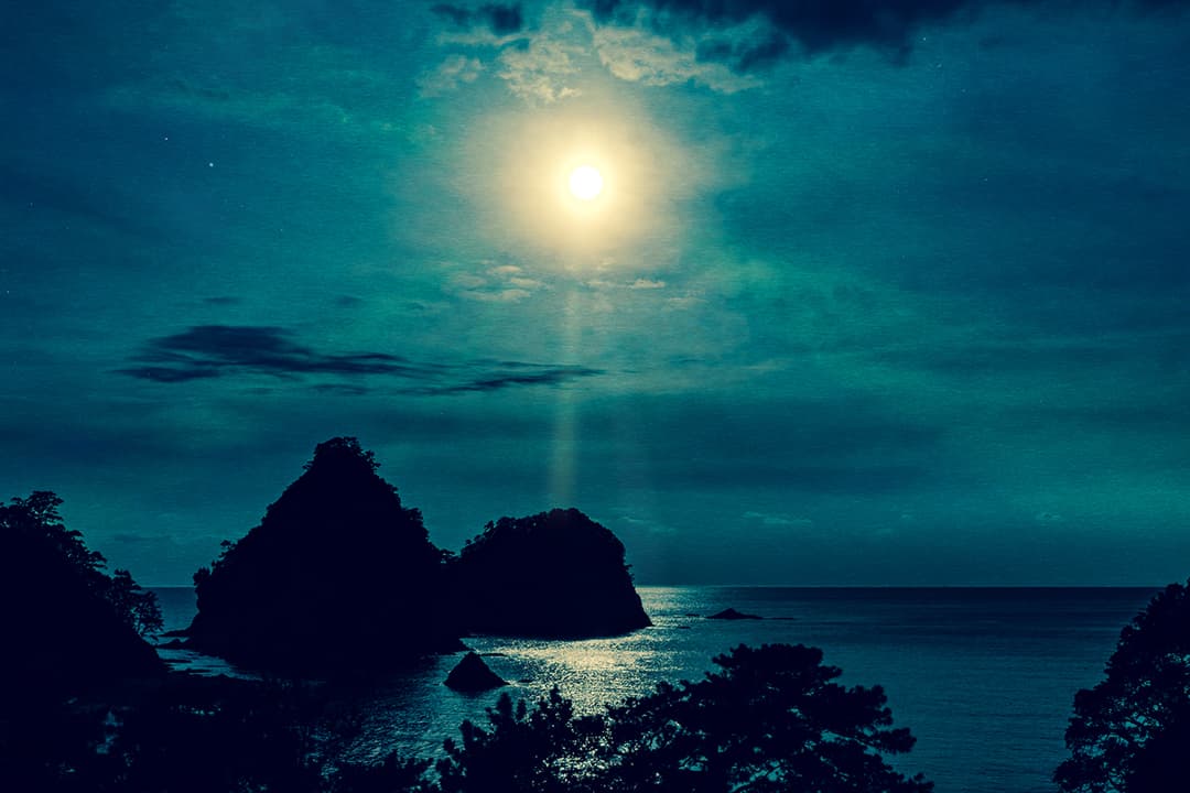 Moonlight Sonata - Ludwig van Beethoven