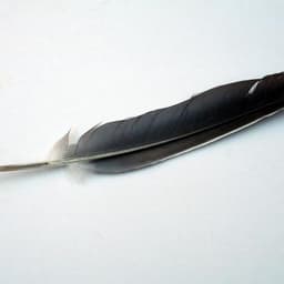 ineffable_kalimba profile image