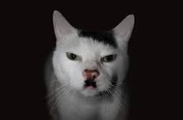 SamIsSam1577 profile image
